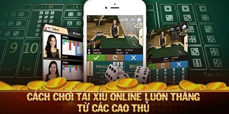 Hướng dẫn cách chơi tài xỉu cho tân binh